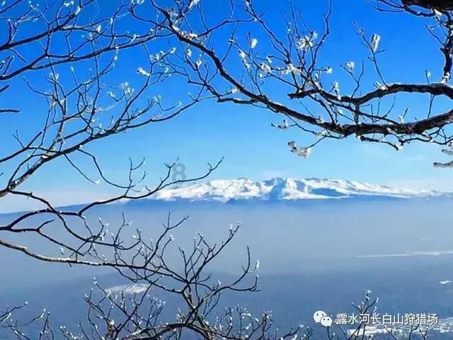 幻想三国2